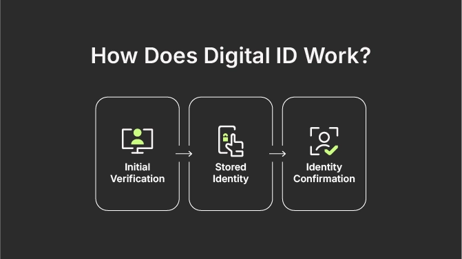 How Does Digital ID Work? Initial verification, Stored Identity, Identity Confirmation