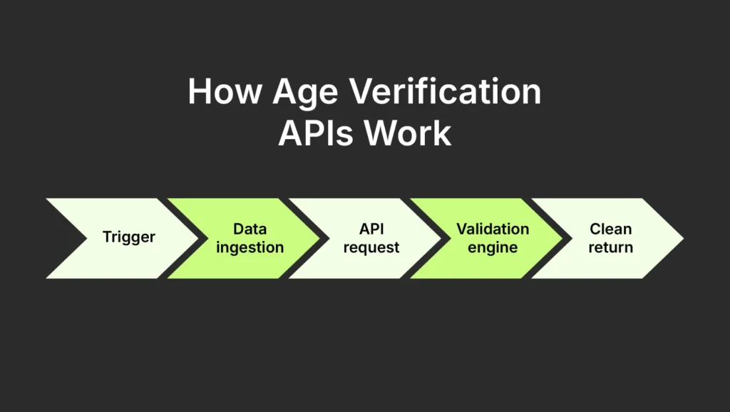 How Age Verification APIs Work:
Trigger
Data ingestion
API request
Validation engine
Clean return